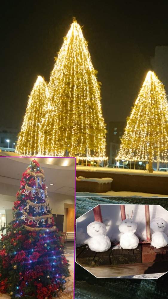 クリスマスツリーの投稿画像 By ヨッシー さん イルミネーションと北の大地からと北海道からと冬景色と雪だるまとgsクリスマスパーティーバージョンアップ 18月12月23日 Greensnap グリーンスナップ