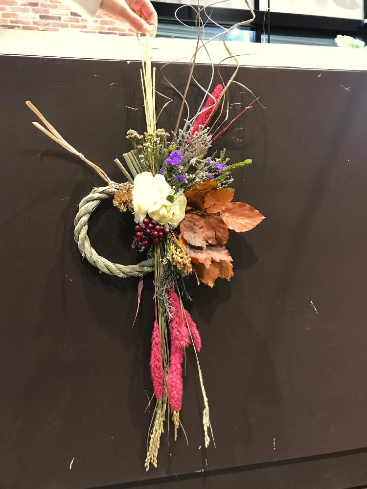 ラナンキュラスの投稿画像 By ゆかりんさん スターチスとしめ縄リースとドライフラワーとgs映えと植中毒とアーティフィシャルフラワーアレンジメントと花のある暮らしとバルコニストとcainzお正月迎春切花コンテスト 18月12月24日 Greensnap グリーンスナップ