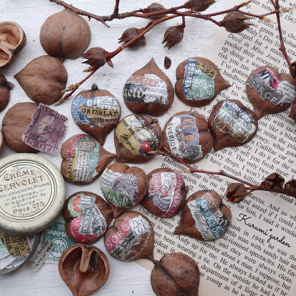 姫胡桃の投稿画像 By くるみ さん ヒメシャラの実と木の実オーナメントとクルミの殻とgsのみなさんに感謝 とくるみのgreen工房とくるみピックと ハンドメイドとkurumi Gardenとガーデンピックとガーデンオーナメント と木の実のオーナメント 18月12月30日