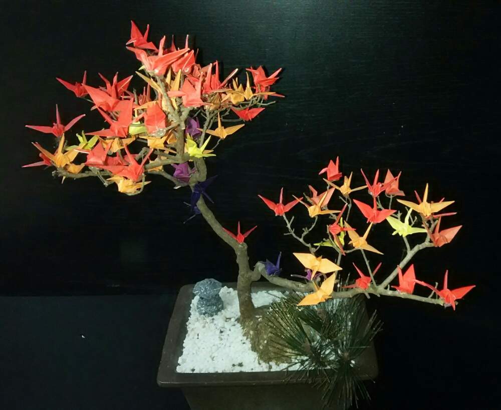 サツキの投稿画像 by グレさん｜部屋とお正月と折り鶴と盆景と盆栽と 