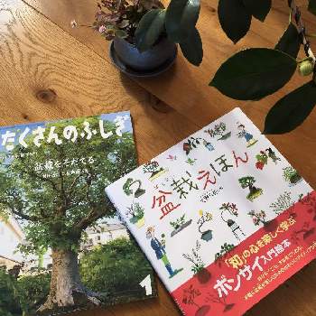 おすすめ本の投稿画像一覧 Greensnap グリーンスナップ おすすめ本の投稿画像一覧 Greensnap グリーンスナップ