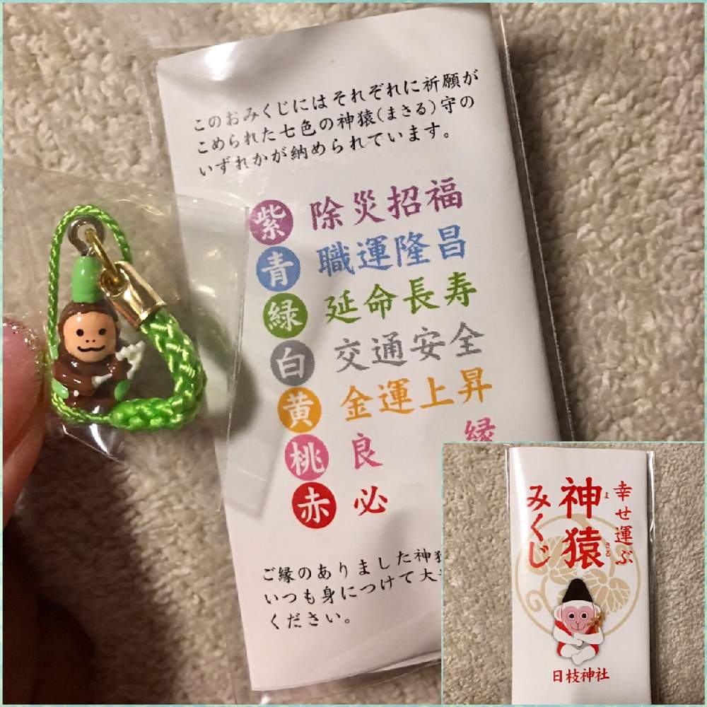 初詣の投稿画像 By ちゃーみぃさん お正月と日枝神社 と西日本豪雨で被災された皆様頑張ってと北の大地北海道と頑張れ Yoshikaさんと頑張れ えっこと頑張れ ばぁばさんとおみくじ 19月1月2日 Greensnap グリーンスナップ