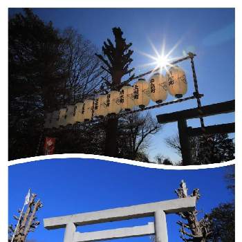 光芒の画像 by takosyaさん | お出かけ先とイチョウとファインダー越しの私の世界と初詣と藤沢市と光芒と鳥居と平成最後の正月と神奈川の風景と藤沢の風景とI♡Fujisawa