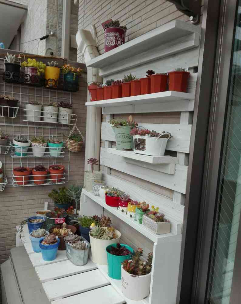 なおちゃん様 多肉植物棚 GAI-702TB追加あり なおちゃん様 多肉植物棚