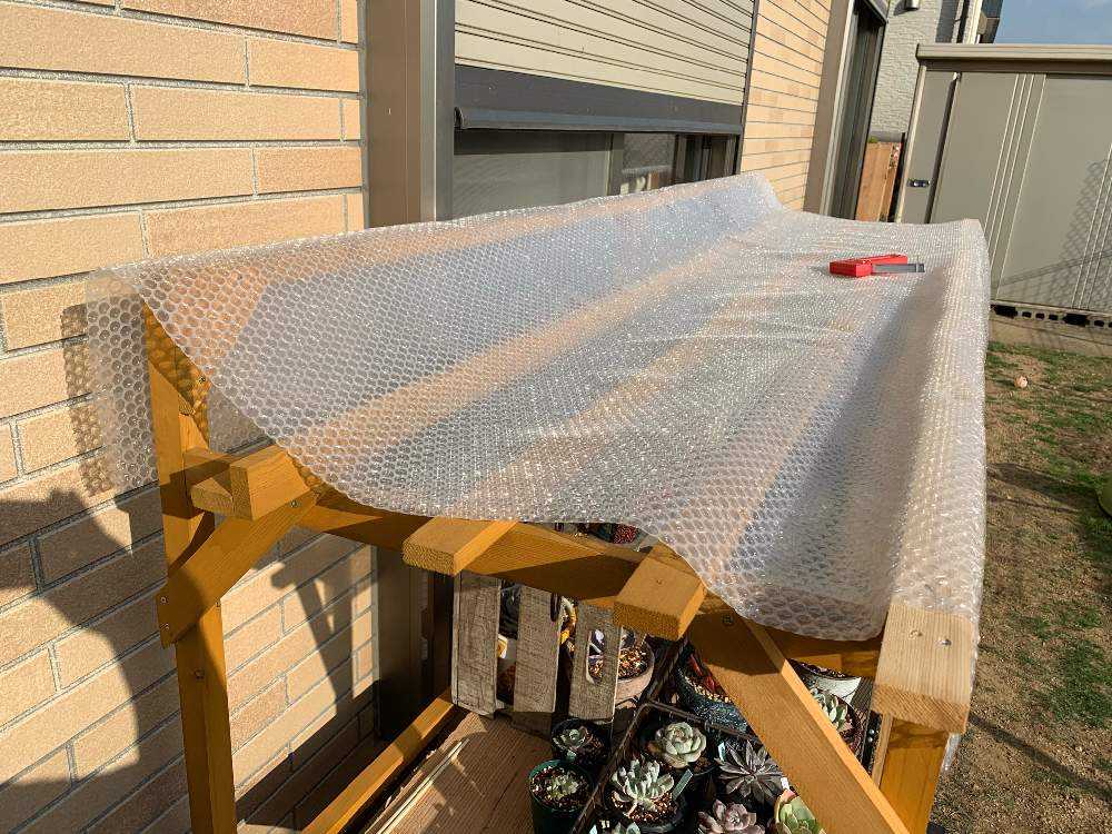 我が家の多肉 冬対策 Greensnap グリーンスナップ