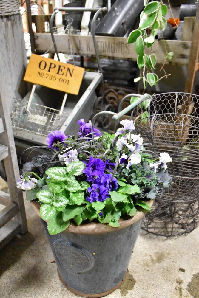 寄せ植えの投稿画像 By Kusakiさん 園芸店と東京と今日のお花と多肉じゃない寄せ植えとグリーンギャラリーガーデンズと寄せ植え講座と八王子と花のある暮らし 19月1月7日 Greensnap グリーンスナップ