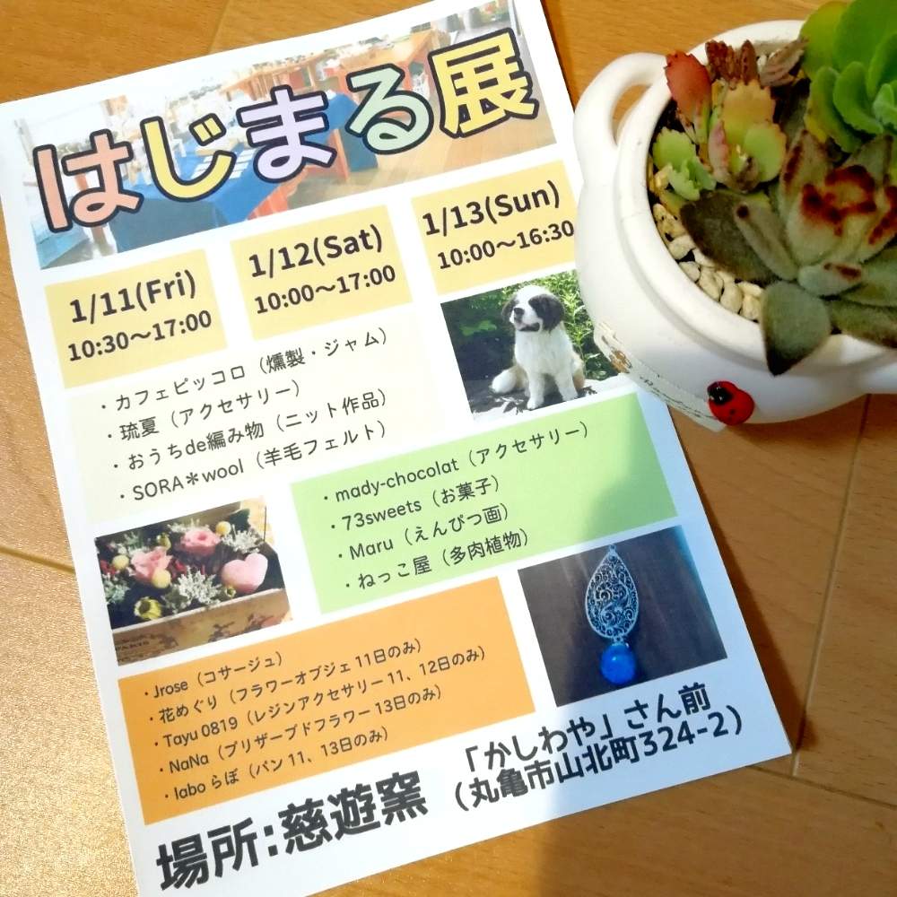 月兎耳 ツキトジ の投稿画像 By ねっこ さん イベント用と多肉大好きと多肉植物寄せ植えとイベント出店と多肉寄せ植えと香川県と部屋とイベント用と多肉 大好きと多肉植物寄せ植えとイベント出店と多肉寄せ植えと香川県 19月1月10日 Greensnap グリーン