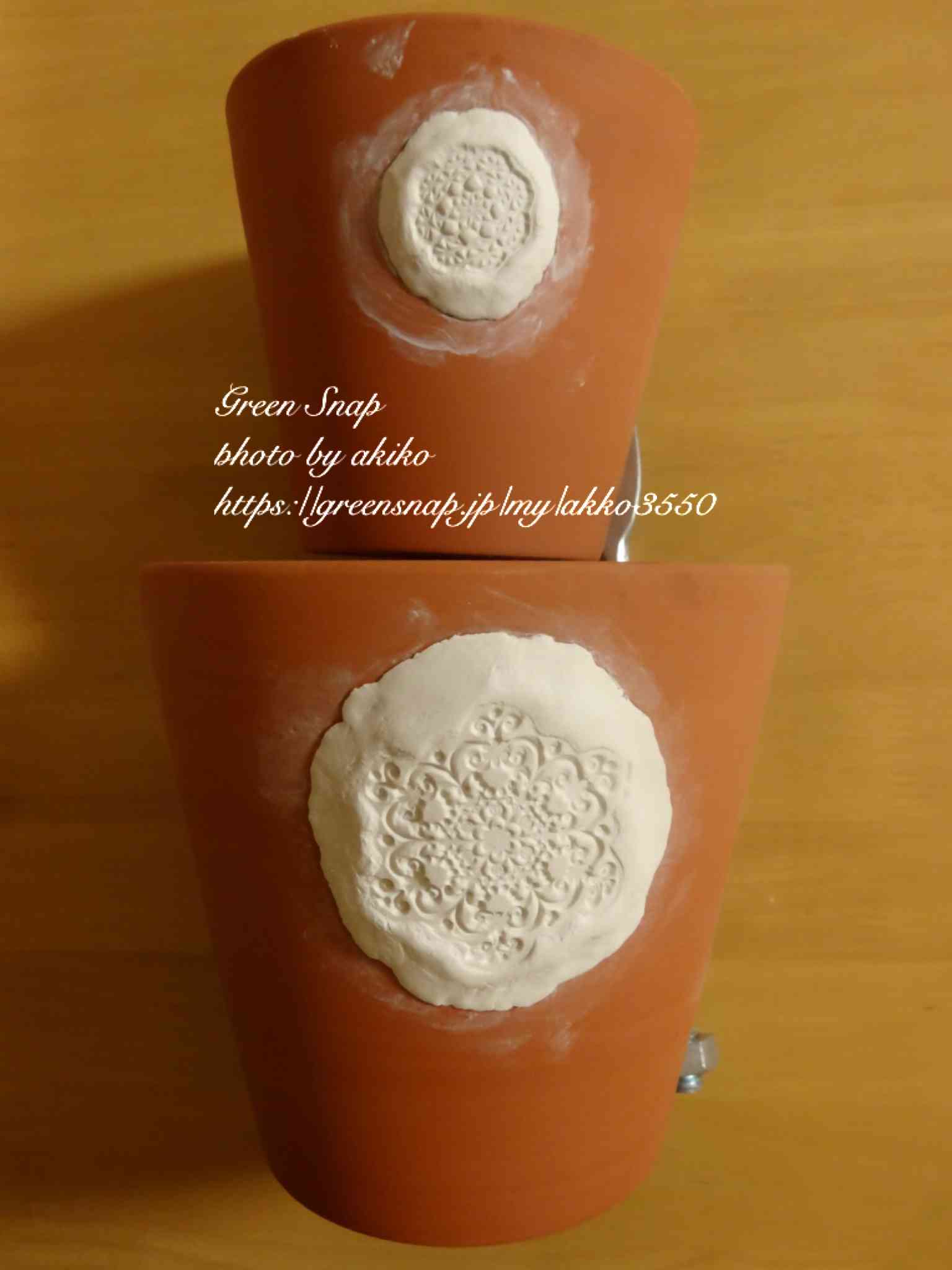 リメイク鉢｜🍀GreenSnap（グリーンスナップ）