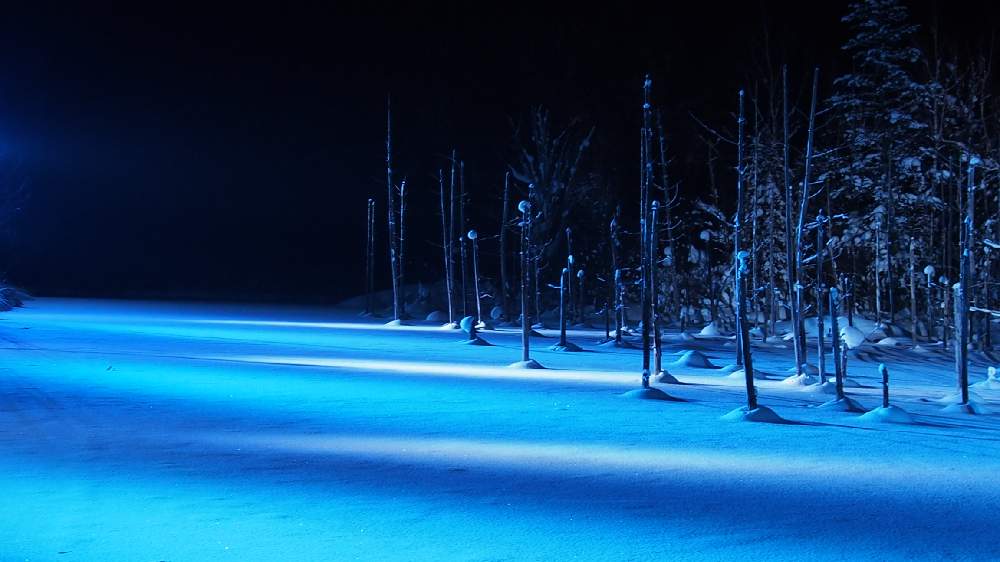青色の投稿画像 By Smartqさん 夜景と青い池と美瑛と幻想的と美瑛の青い池と青いとライトアップ 19月1月13日 Greensnap グリーンスナップ