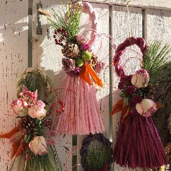 はなこうのアルバム Greensnap グリーンスナップ