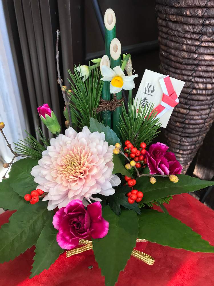 はなこうのアルバム Greensnap グリーンスナップ