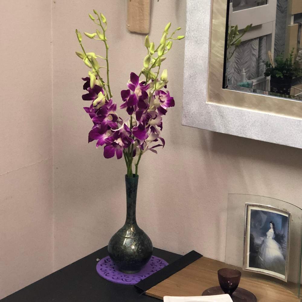 デンファレ デンドロビウム の投稿画像 By Grace Placeさん 誕生花と花言葉と花のある暮らしとgs映え 19月1月17日 Greensnap グリーンスナップ