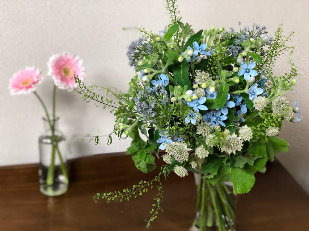 花のある暮らしの投稿画像 By Sobana さん 花屋とフラワーアレンジメントとブルースター 19月1月21日 Greensnap グリーンスナップ