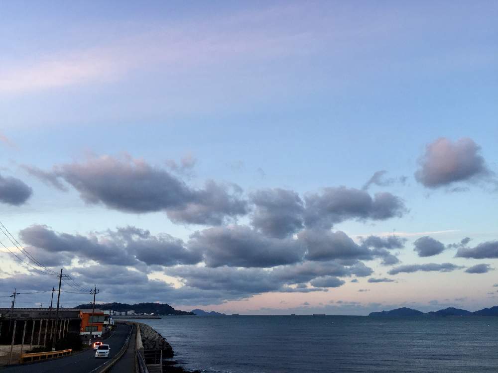 お出かけ先の投稿画像 By ねこたんぽさん 下関 彦島の風景とgs映えと空の景色と海辺の景色と季節感と下関 彦島の風景とgs映えと空の景色と海辺の景色と季節感 19月1月22日 Greensnap グリーンスナップ Greensnap グリーンスナップ