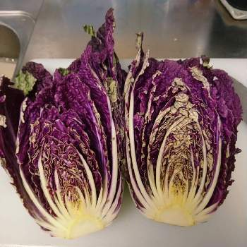 紫白菜の画像 by m-megさん | キッチンと紫白菜と楽しいと美味しい
