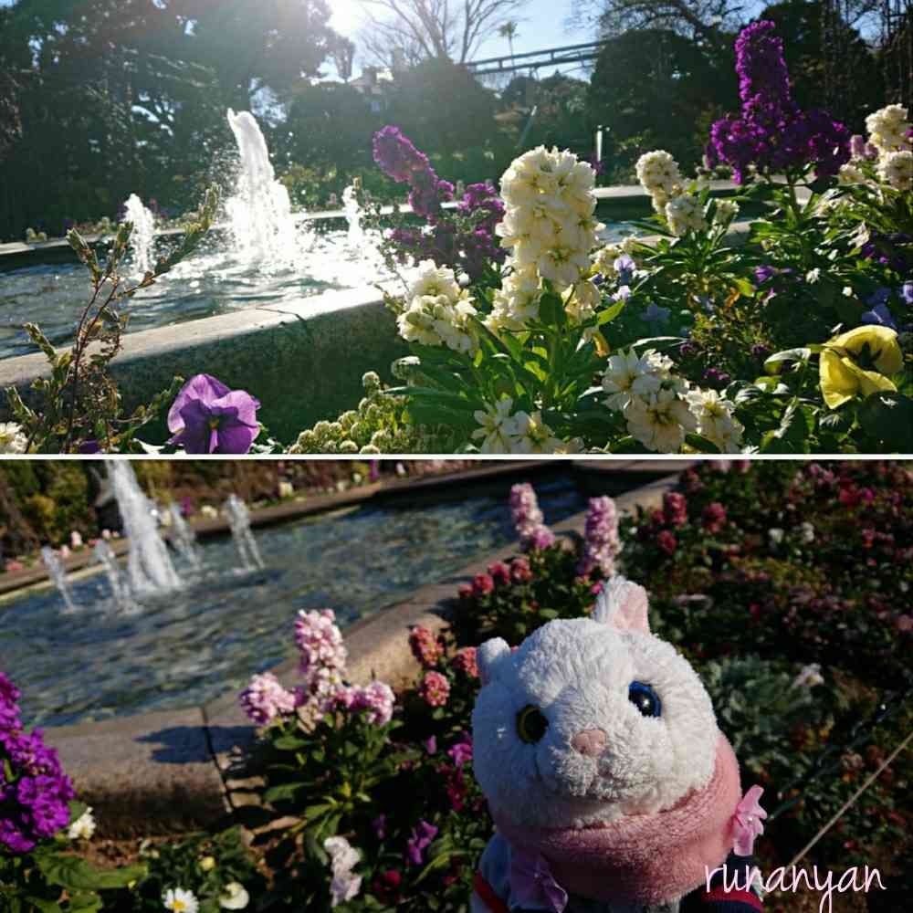 るなにゃんさんの港の見える丘公園への投稿