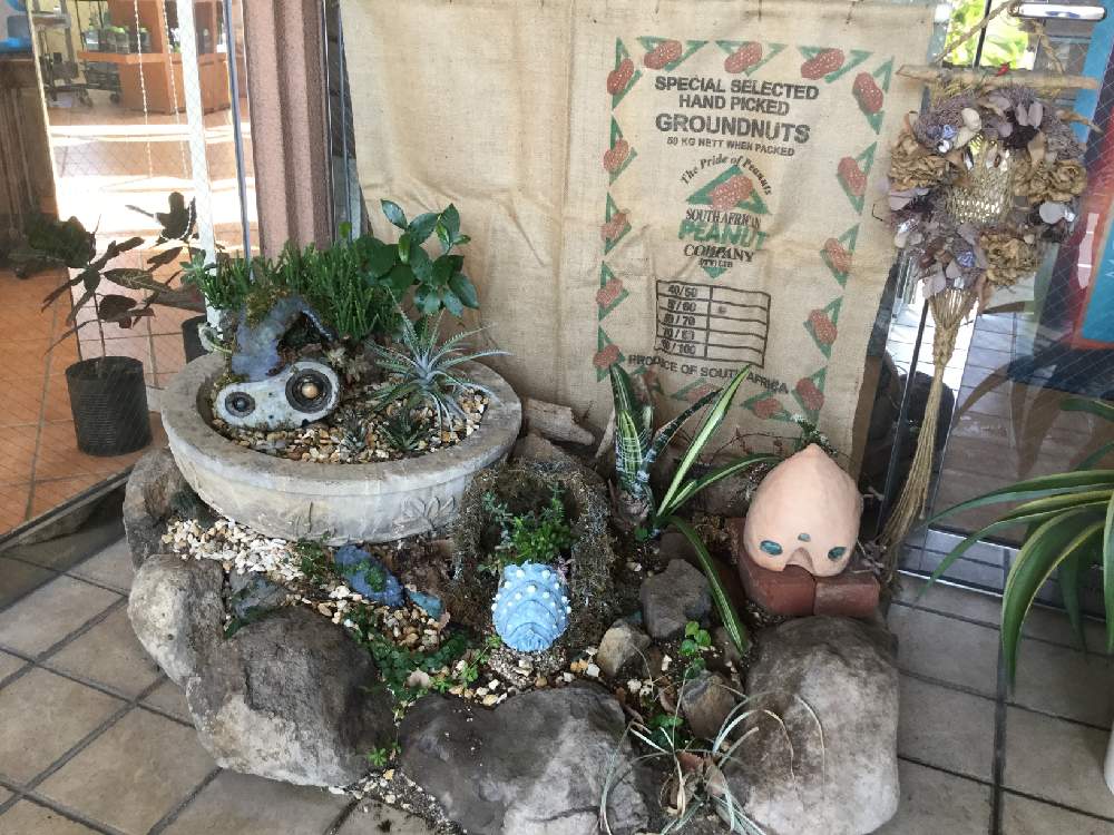 麻袋アレンジ Greensnap グリーンスナップ