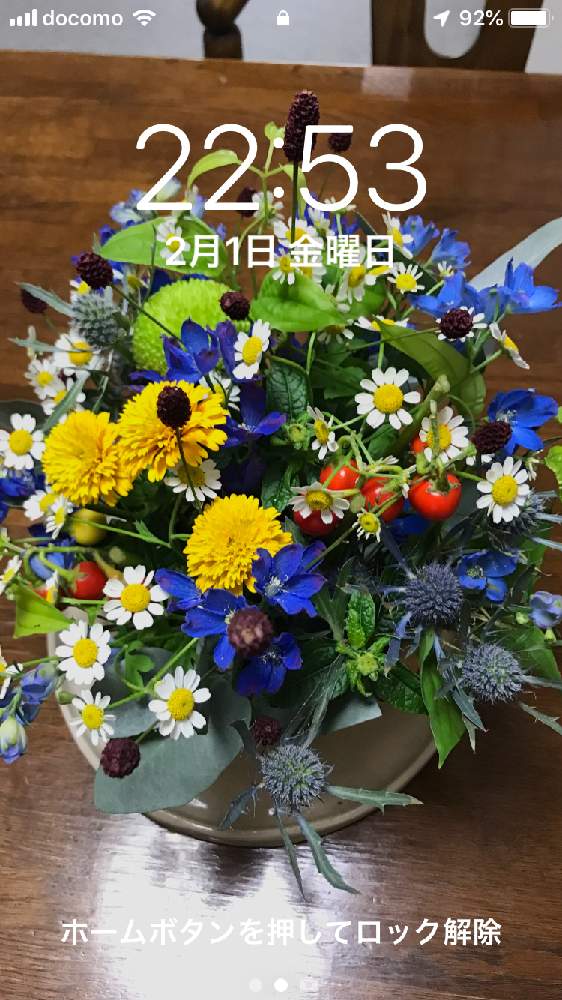 壁紙祭り19冬の投稿画像 By ターちゃんさん 花のある暮らしと頂戴物と壁紙祭りとターちゃんの壁紙とお祭り参加 19月2月1日 Greensnap グリーンスナップ