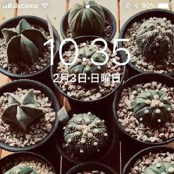 待受画面の投稿画像一覧 Greensnap グリーンスナップ 待受画面の投稿画像一覧 Greensnap グリーンスナップ