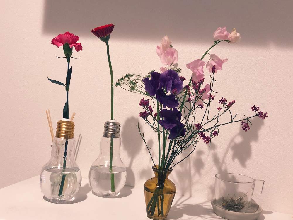 玄関の投稿画像 By ヒmmcさん 初心者と花瓶とつぼみと水耕栽培と鉢植えと可愛いと花のある暮らしと切り花と初心者と花瓶とつぼみと水耕栽培と鉢植えと可愛いと花のある暮らしと切り花 19月2月3日 Greensnap グリーンスナップ Greensnap グリーンスナップ