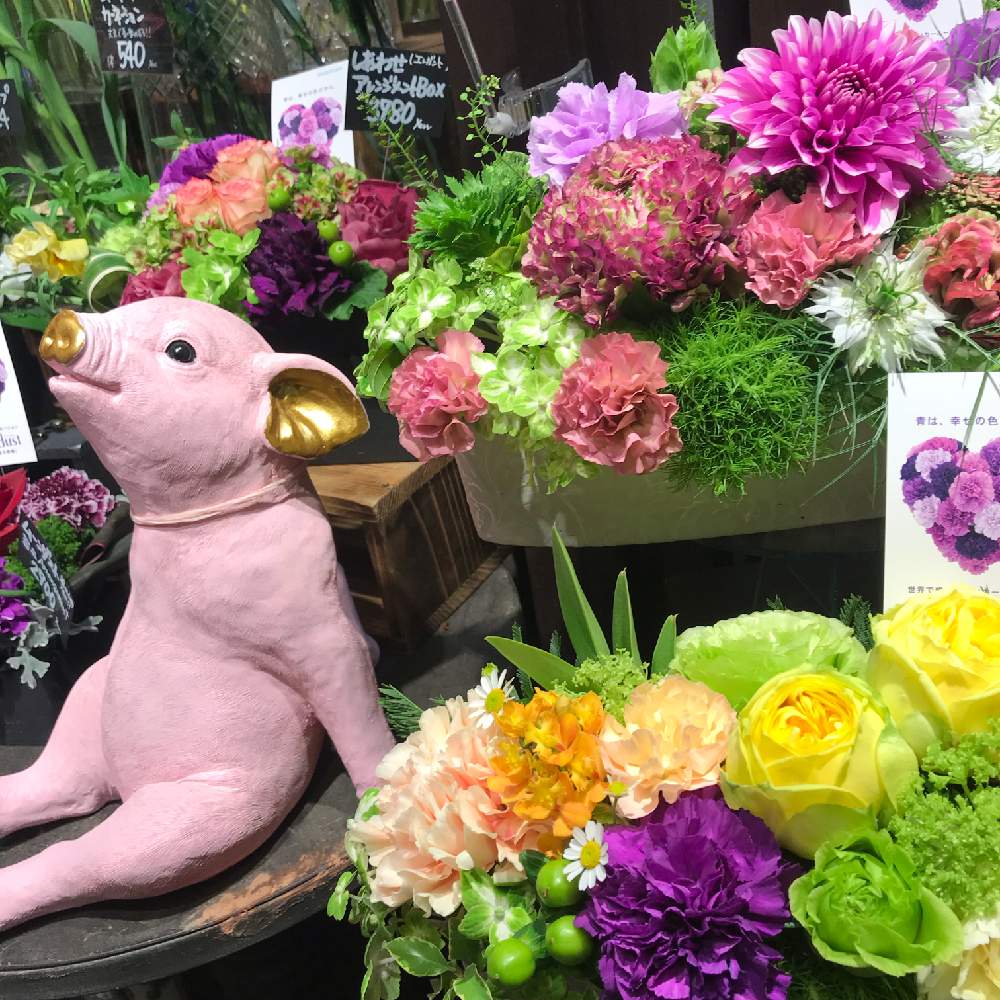 店内ディスプレイの投稿画像 By フラワーショップ京王 新宿地下店さん ムラサキの花とかわいい とフラワーアレンジメントと花のある暮らしとお花といやされる 19月2月5日 Greensnap グリーンスナップ