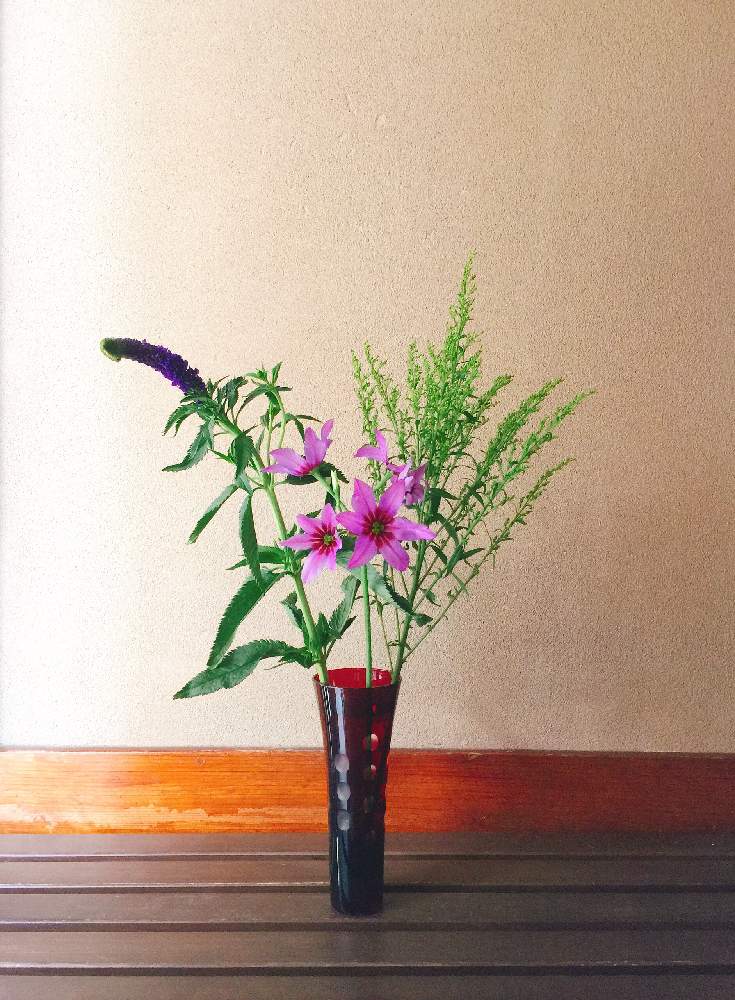 リューココリーネの投稿画像 By ずずさん 花のある暮らしと生け花といけばなと生け花初心者とベロニカとソリダゴと玄関と100均花器と花のある暮らしと 生け花といけばなと生け花初心者と100均花器 19月2月7日 Greensnap グリーンスナップ Greensnap