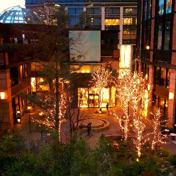 三菱一号館美術館の投稿画像一覧 Greensnap グリーンスナップ