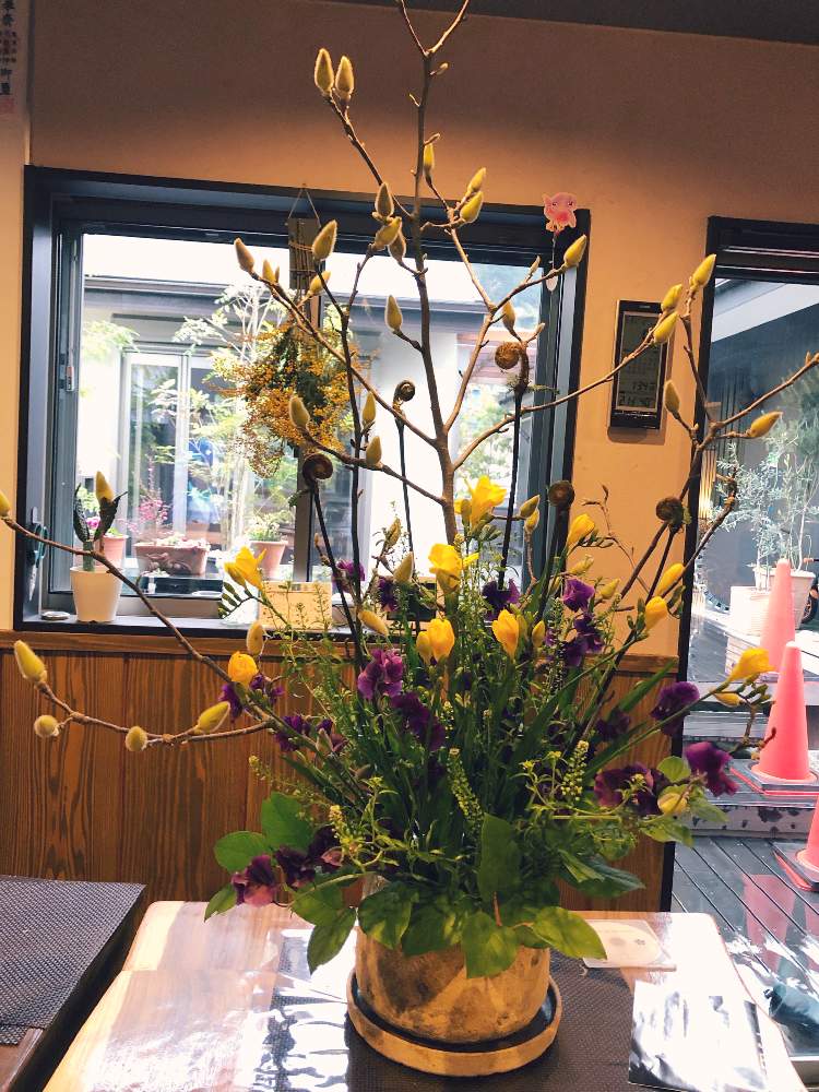 フリージアの投稿画像 By ぶうさん ふわふわとリビングテーブルと冬の花暮らしとgs映えと花のある暮らしとkayaとダイニングテーブル 19月2月9日 Greensnap グリーンスナップ