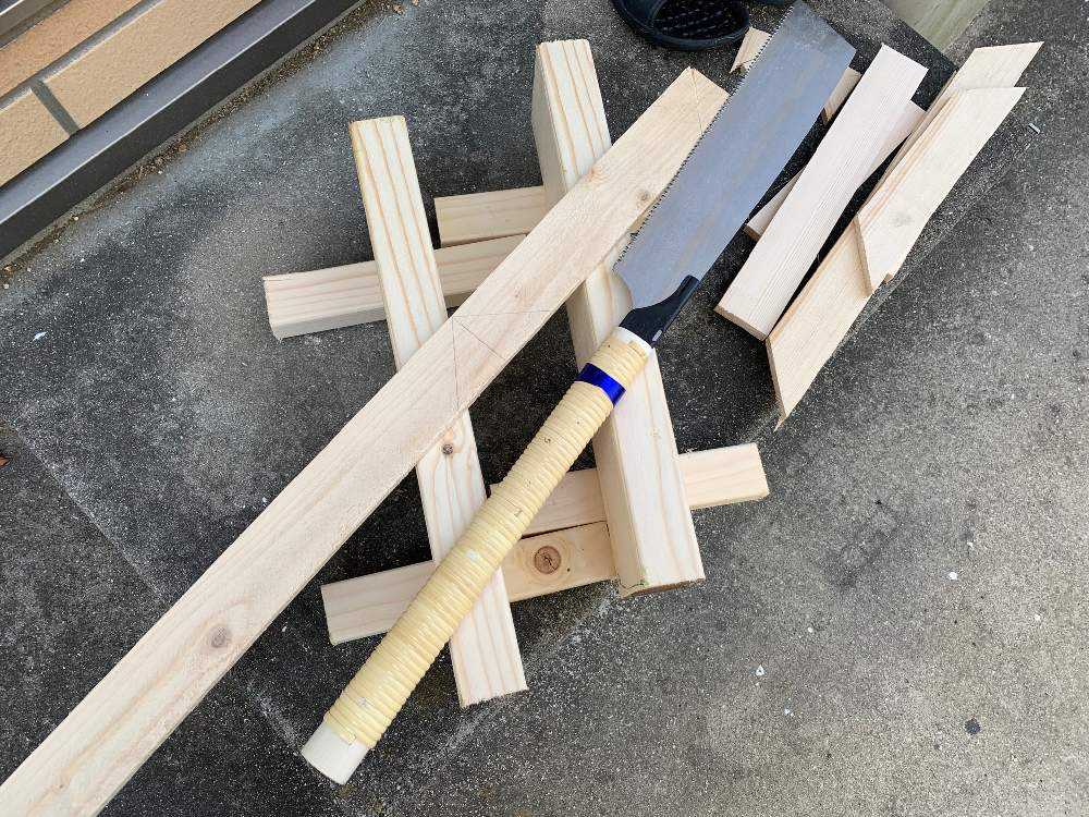 ビカクシダの板付けにチャレンジ！(๑و•̀ω•́)و ✨｜🍀GreenSnap