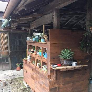 パレットガーデニングdiyの投稿画像一覧 Greensnap グリーンスナップ