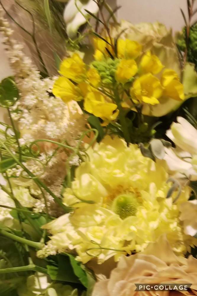 菜の花の投稿画像 By Kasumiさん 花束 ブーケと菜の花 ナノハナ と黄色と黄色い花と美しいときいろいお花と小さい花と花のある暮らしとかわいいとかわいいな と花束 19月2月14日 Greensnap グリーンスナップ