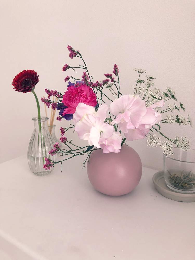 初心者の投稿画像 By ヒmmcさん 花瓶とつぼみと水耕栽培と鉢植えと可愛いと花のある暮らしと切り花 19月2月14日 Greensnap グリーンスナップ