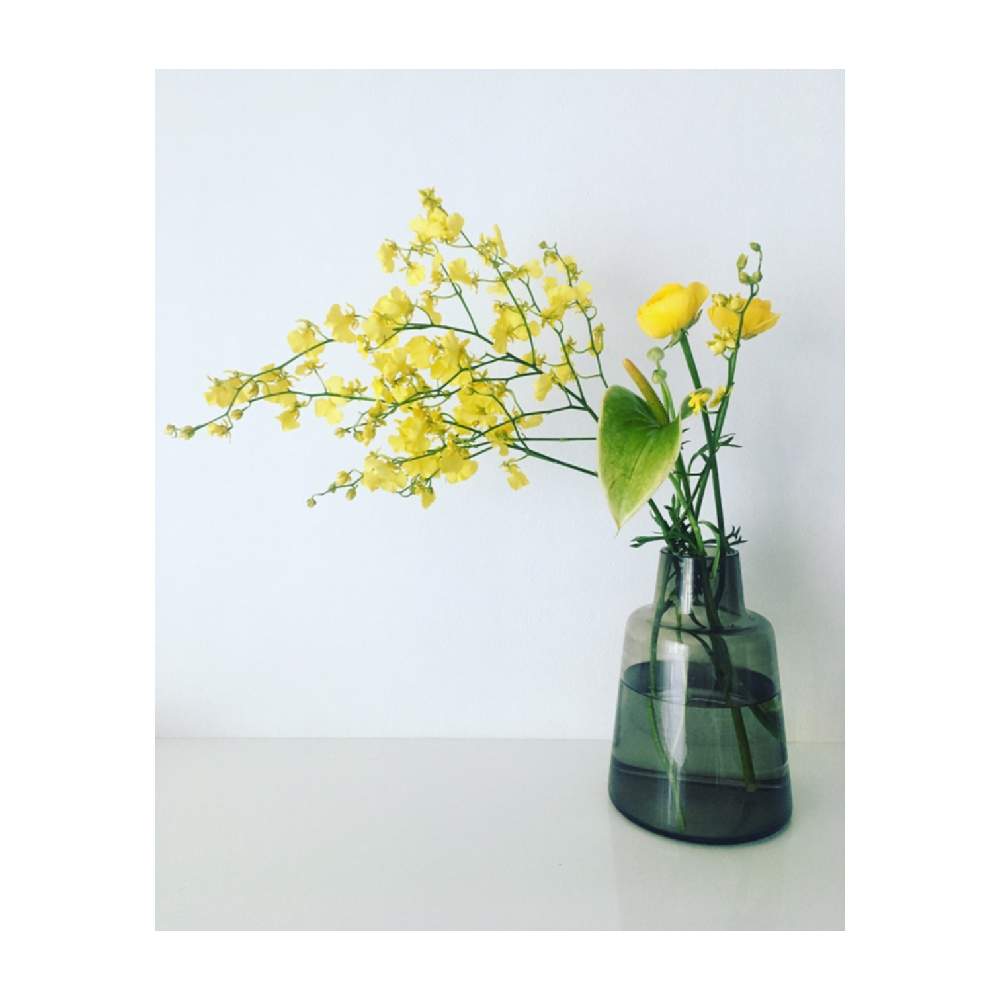 黄色い花の投稿画像 By さくらんさん 春を感じる花と ラナンキュラスといけばなとフラワーアレンジメントと花 のある暮らしとハーバリウムとインテリアとアンスリウム と黄色い花と春を感じる花と ラナンキュラスといけばなとフラワーアレンジメントと花のある