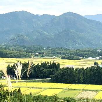 日本の田園風景の投稿画像一覧 Greensnap グリーンスナップ