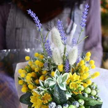 蔵前花屋こめてのアルバム Greensnap グリーンスナップ