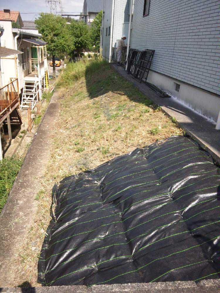 妹からの相談を受けて始まった庭造りpart1 Greensnap グリーンスナップ