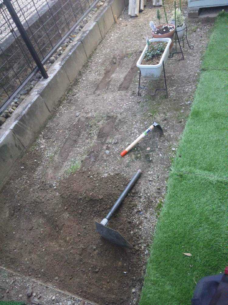 妹からの相談を受けて始まった庭造りpart1 Greensnap グリーンスナップ