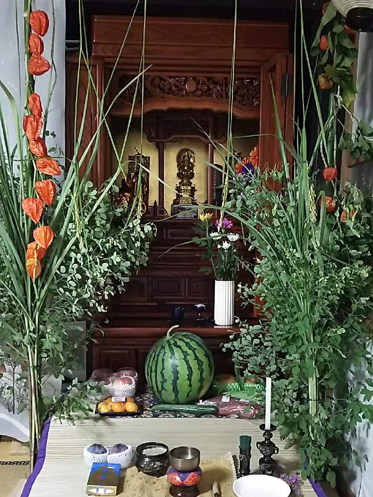 花のある暮らしの投稿画像 By Moskaさん 盆飾り 19月2月日 Greensnap グリーンスナップ