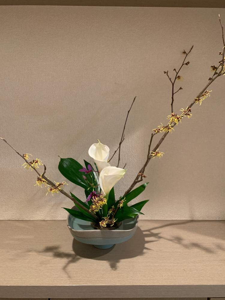 カラーの投稿画像 By Sayaさん 花のある暮らしと生け花と生け花教室 19月3月2日 Greensnap グリーンスナップ