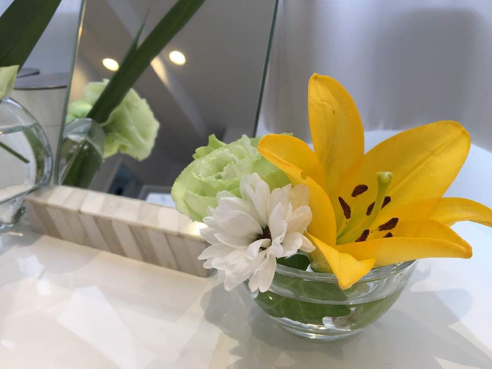 ユリ(百合)　オレンジ色の花　切り花