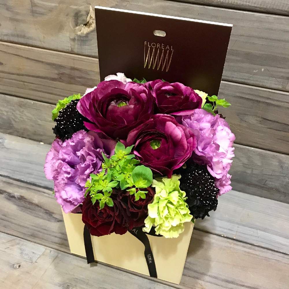 トルコキキョウ　紫色の花