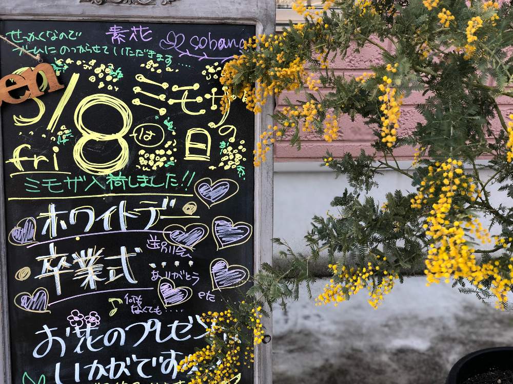 ミモザの投稿画像 By Sobana さん ボタニカルライフとホワイトデー とはるが来た と花屋と花のある暮らしとミモザの日と卒業式 19月3月5日 Greensnap グリーンスナップ