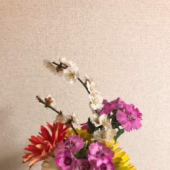 季節の花のしつらえの投稿画像一覧 Greensnap グリーンスナップ