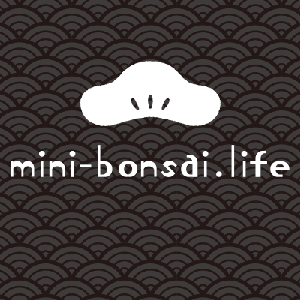 mini-bonsai.life