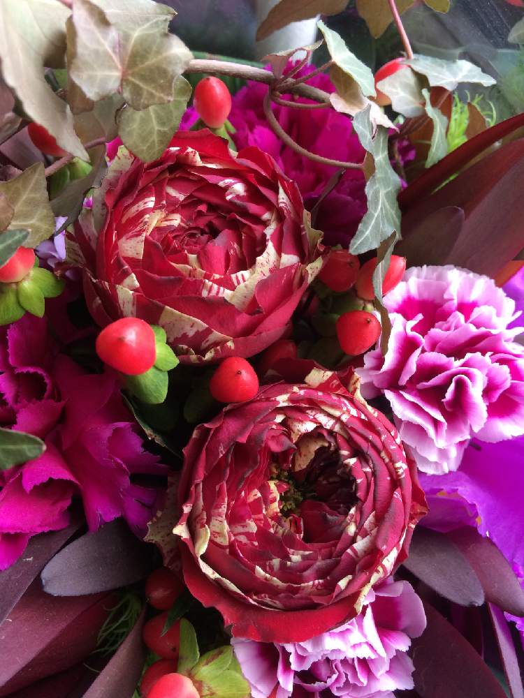 お誕生日の投稿画像 By にゃんこさん 花ハナはなと真っ赤と花のある暮らしとお花 19月3月8日 Greensnap グリーンスナップ