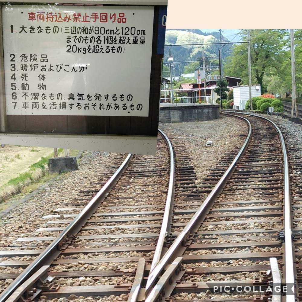 掲示板の投稿画像 By やまちゃん 旅 さん 武州日野と里山大好き協会と里山歩きと珍奇 19月3月13日 Greensnap グリーンスナップ