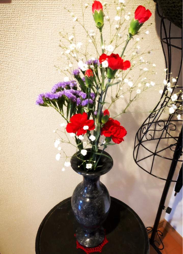 カーネーションの投稿画像 By さみだれさん カスミソウとスターチスと切り花と花のある暮らしと花瓶 19月3月13日 Greensnap グリーンスナップ