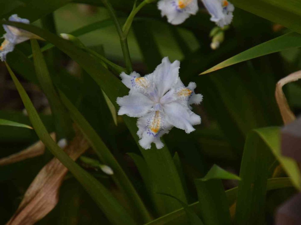 空さんの横浜公園への投稿