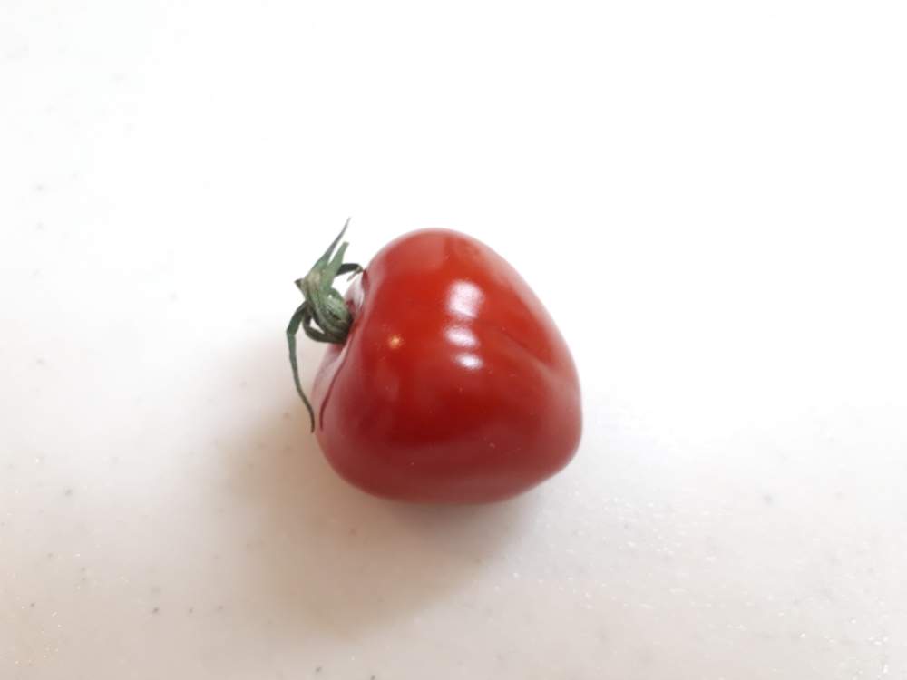 かわいい形のミニトマト 種を蒔いてみた Greensnap グリーンスナップ