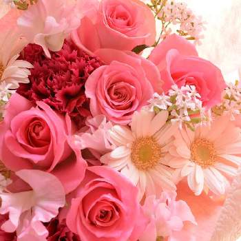ホワイトデー♪の画像 by tttom0606さん | 綺麗〜❤️とGS日和と綺麗なピンクときれいな色とホワイトデー♪と嬉しいプレゼント☆